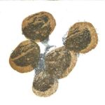 3 AB - Grabado electrolítico sobre dos planchas de zinc. 13 x 16 cm. c/u Líneas trazadas con AxiDraw sobre barniz BIG red. Impresión en talla ambas planchas.