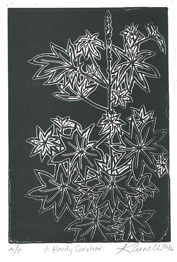 06-A-Hardy-Survivor-R