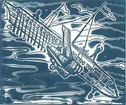 06-Avión-con-remos-1