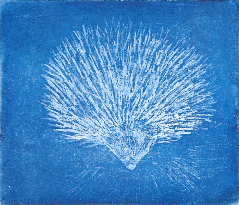 06 Azul Grabado Andela