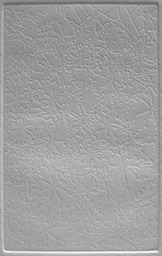 12-Galvanized-Leafs-Embossed