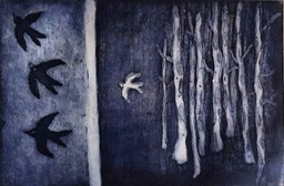 15-Cernícalos-y-Gaviotas