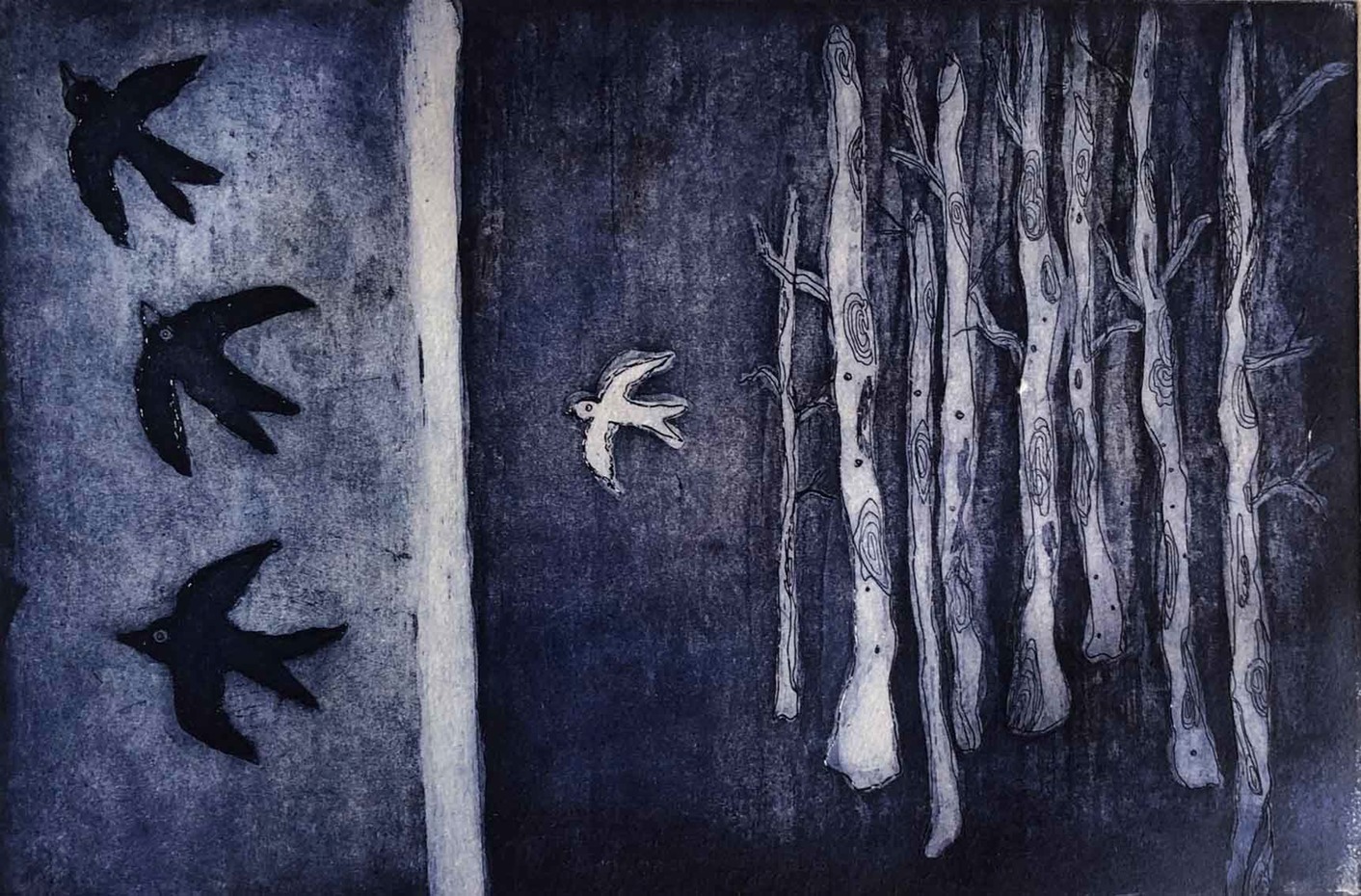 15-Cernícalos-y-Gaviotas