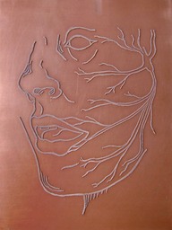 160 Galvanised lines Luvier Casali