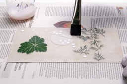 176-Application-of-latex