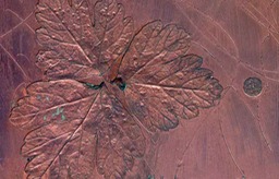 199-Detail-of-the-plate-galvanised-copia