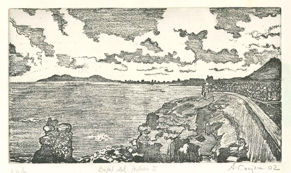 50101-Bajas-del-Pedroso