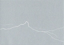 50157 Bentaiga Plata