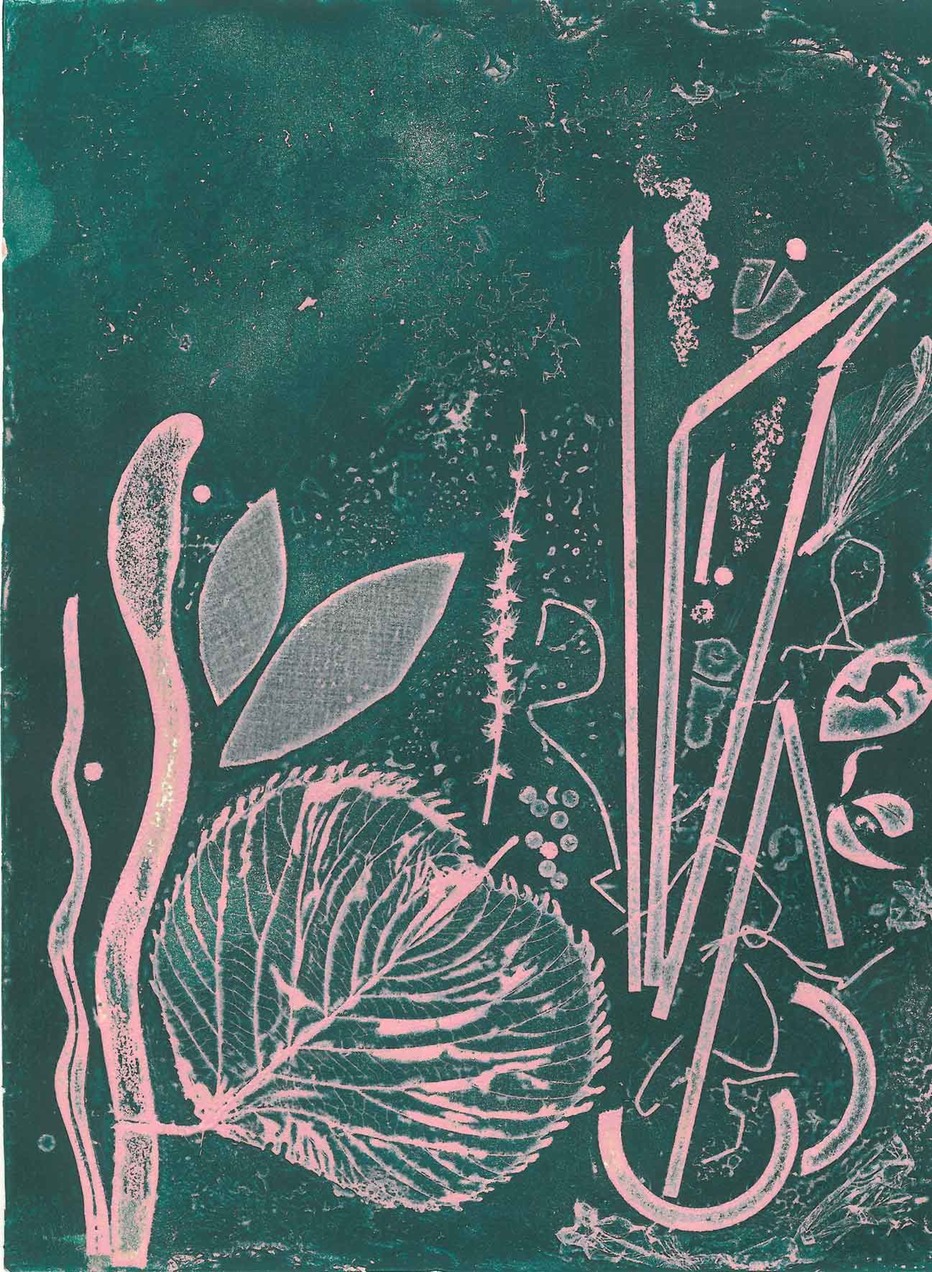 Galvanografía-06-Charca-res