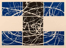 Gpplh 14-azul-2-x-Fernando-Cova